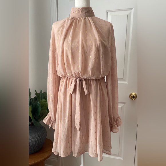 She + Sky Blush & Gold Long sleeve Dress Size S - Picture 9 of 11